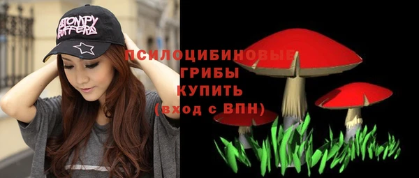 Альфа ПВП Дмитриев