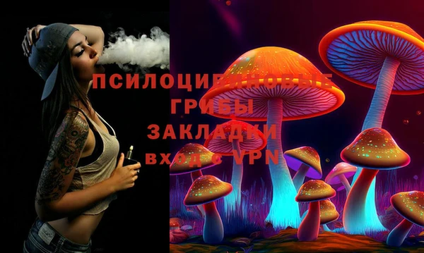 мет Елизово