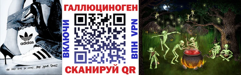 Галлюциногенные грибы Psilocybine cubensis  Купить где  Кедровый 